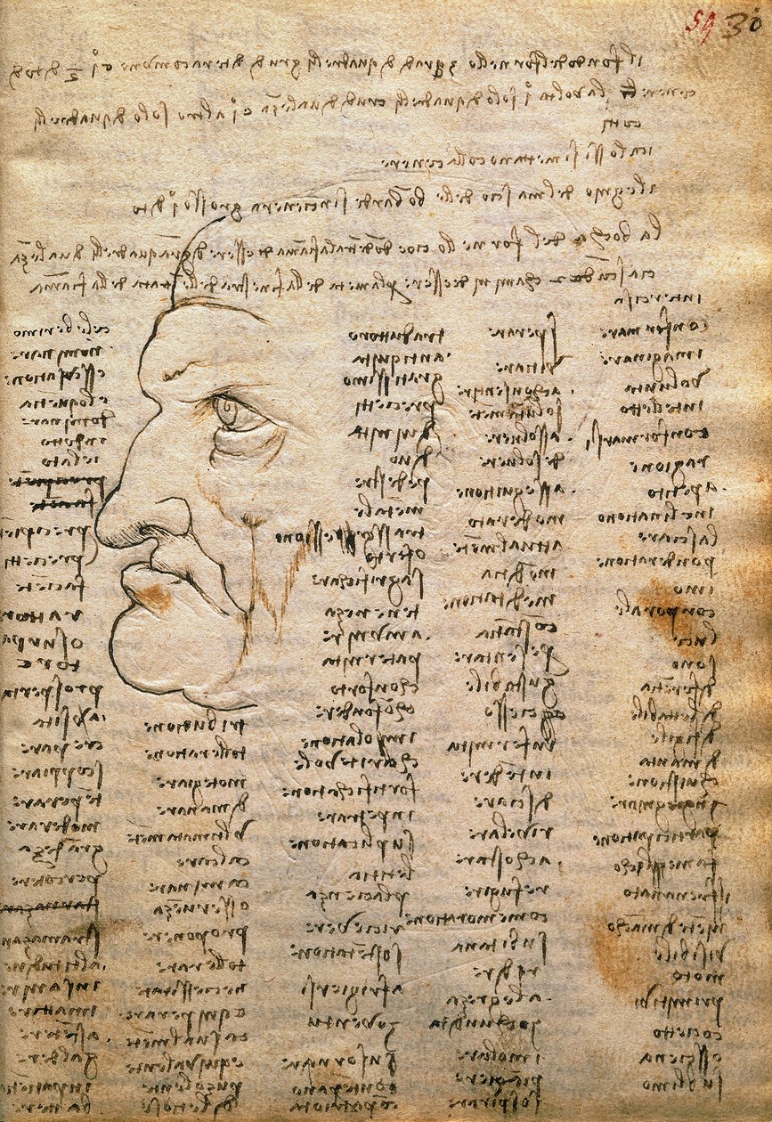 Liste de mots et profil masculin, du Codex Trivulzianus - Leonardo da Vinci