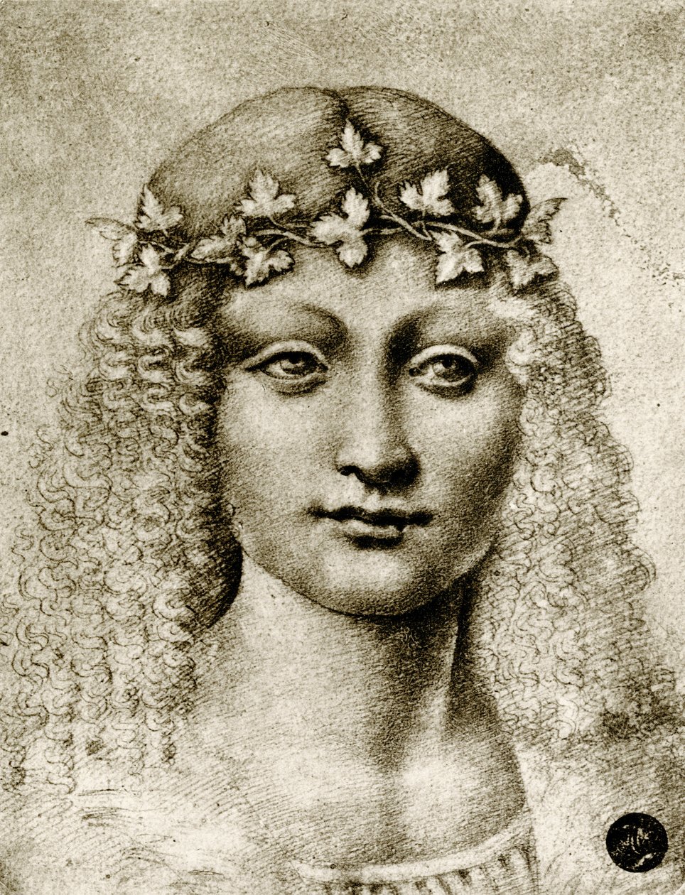 Tête de fille couronnée de vigne - Leonardo da school of Vinci