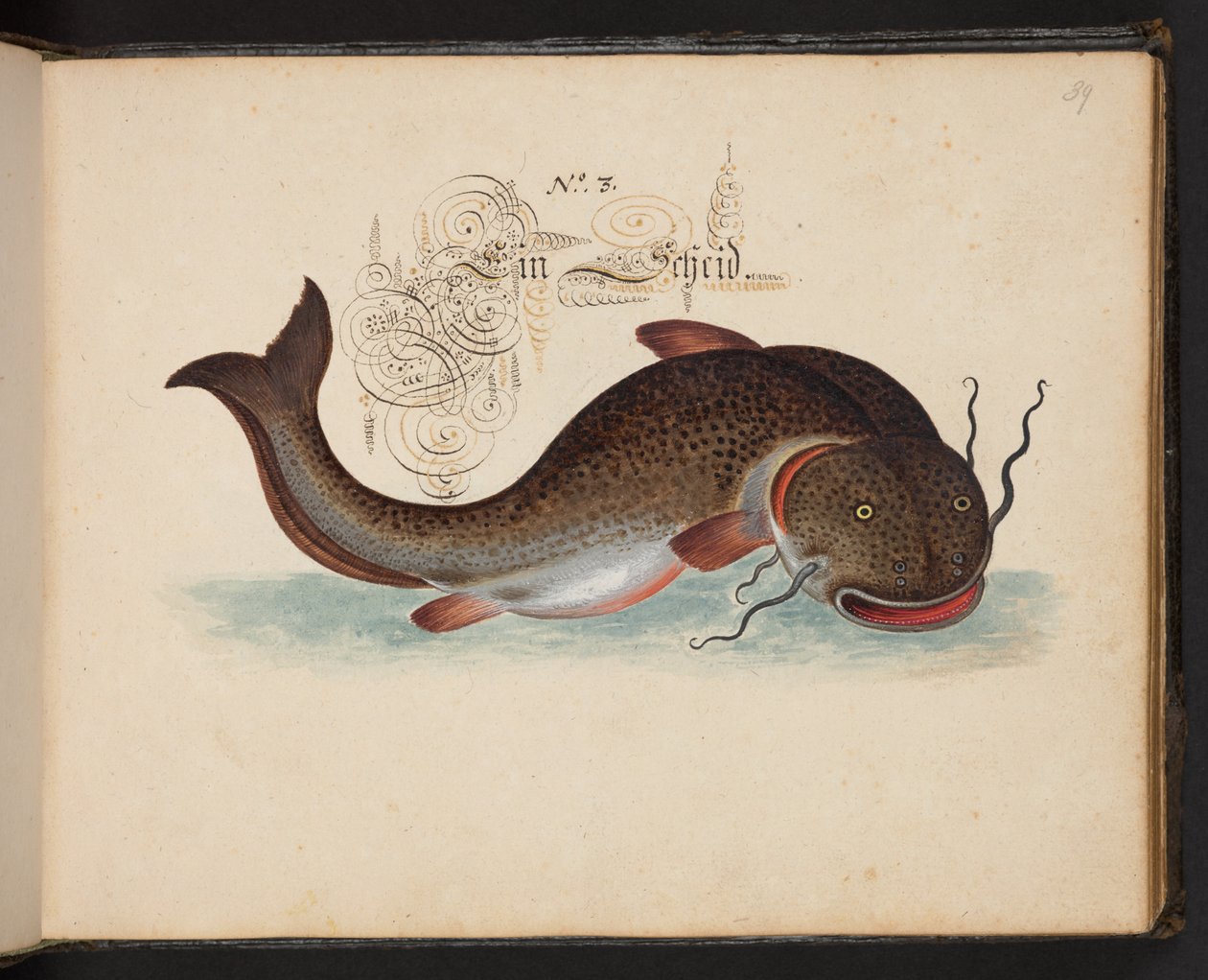 Description et délinéation naturelle exacte des oiseaux aquatiques, poissons, quadrupèdes, insectes et vers trouvés dans les eaux de Strasbourg, que j