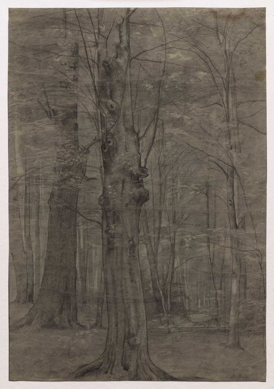 Arbres - Leopold Bode
