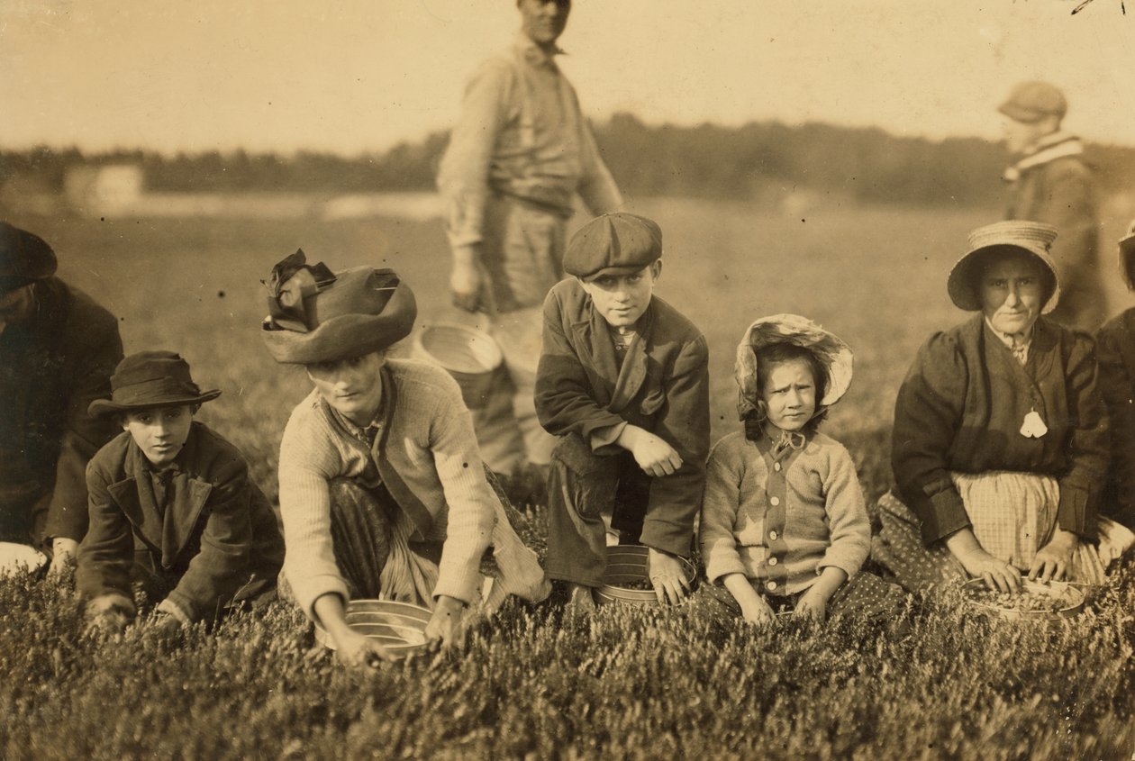 Annette Roy, dite 7 ans, et Napoléon Ruel, dit 9 ans, cueillant des canneberges à Smart