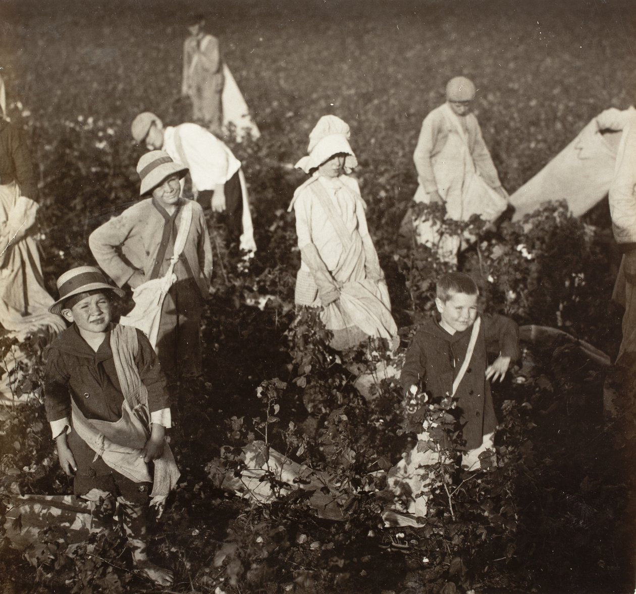 Près de Waxahachie, Texas - Lewis Wickes Hine