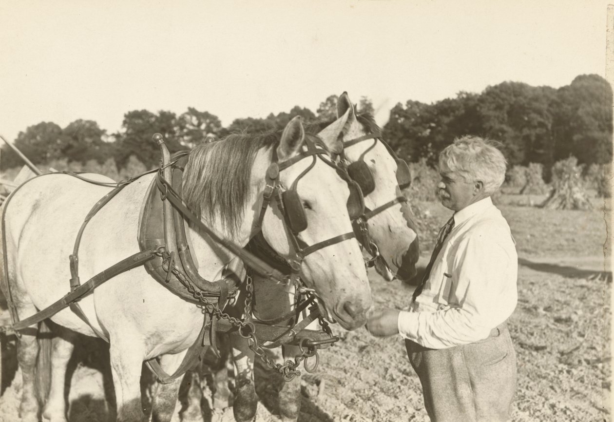 Sans titre, vers 1935 - Lewis Wickes Hine