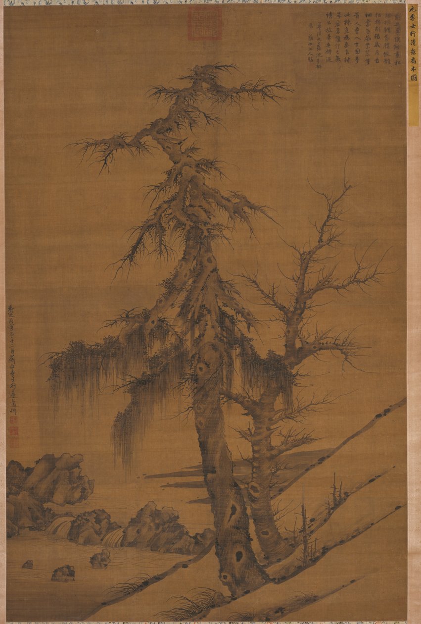 Vieux arbres près d