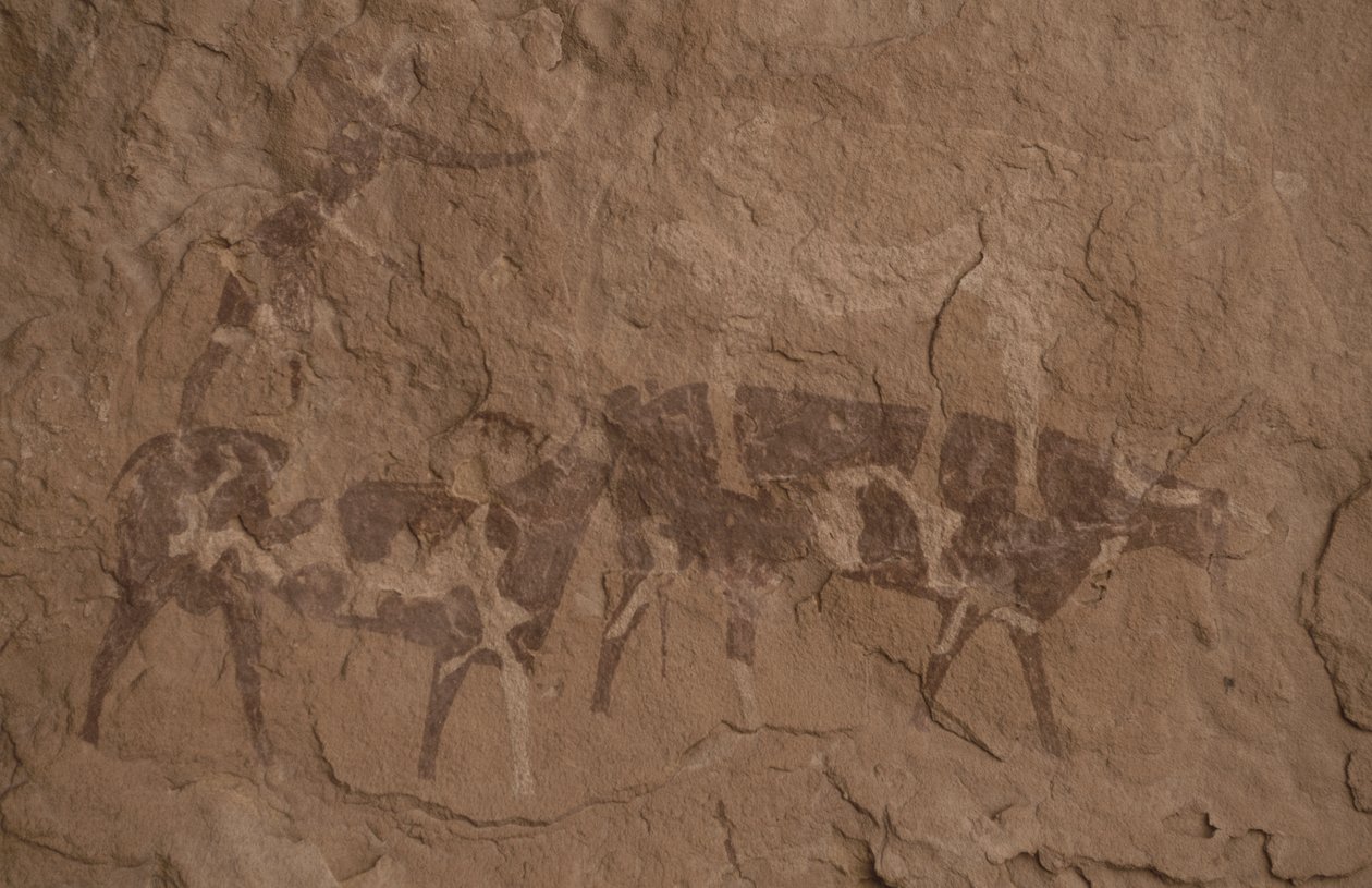 Bétail et figures humaines, peinture rupestre, Oued in Djeran, près de Djanet, Tassili n