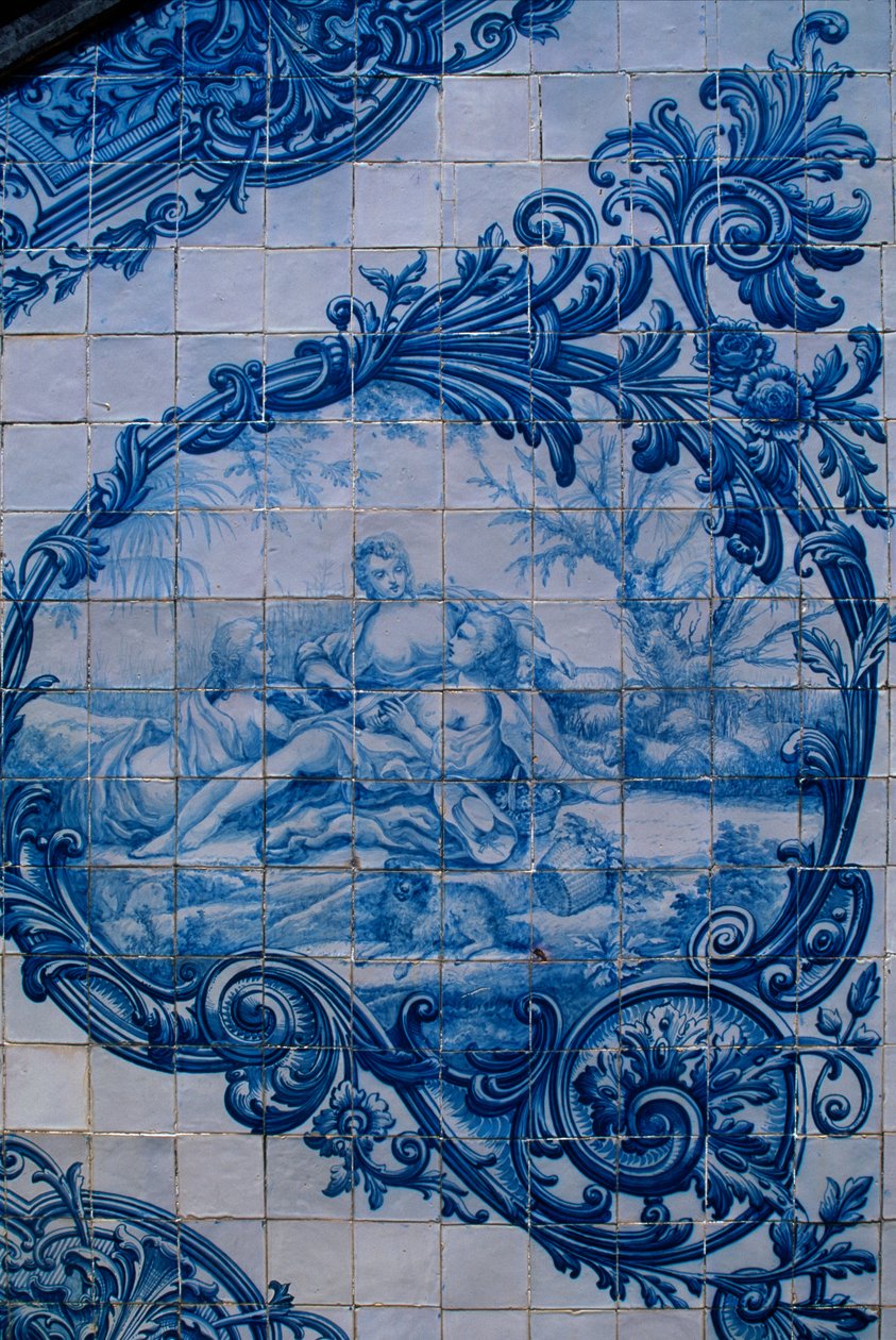 Carreaux émaillés du Palais des Comtes d