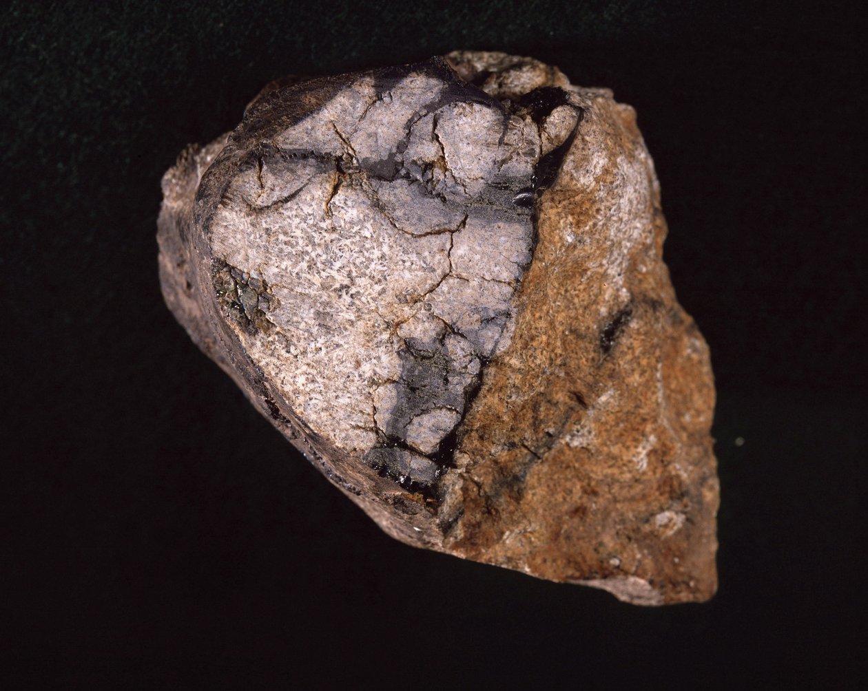 Météorite trouvée en Inde en 1875 - Muséum d