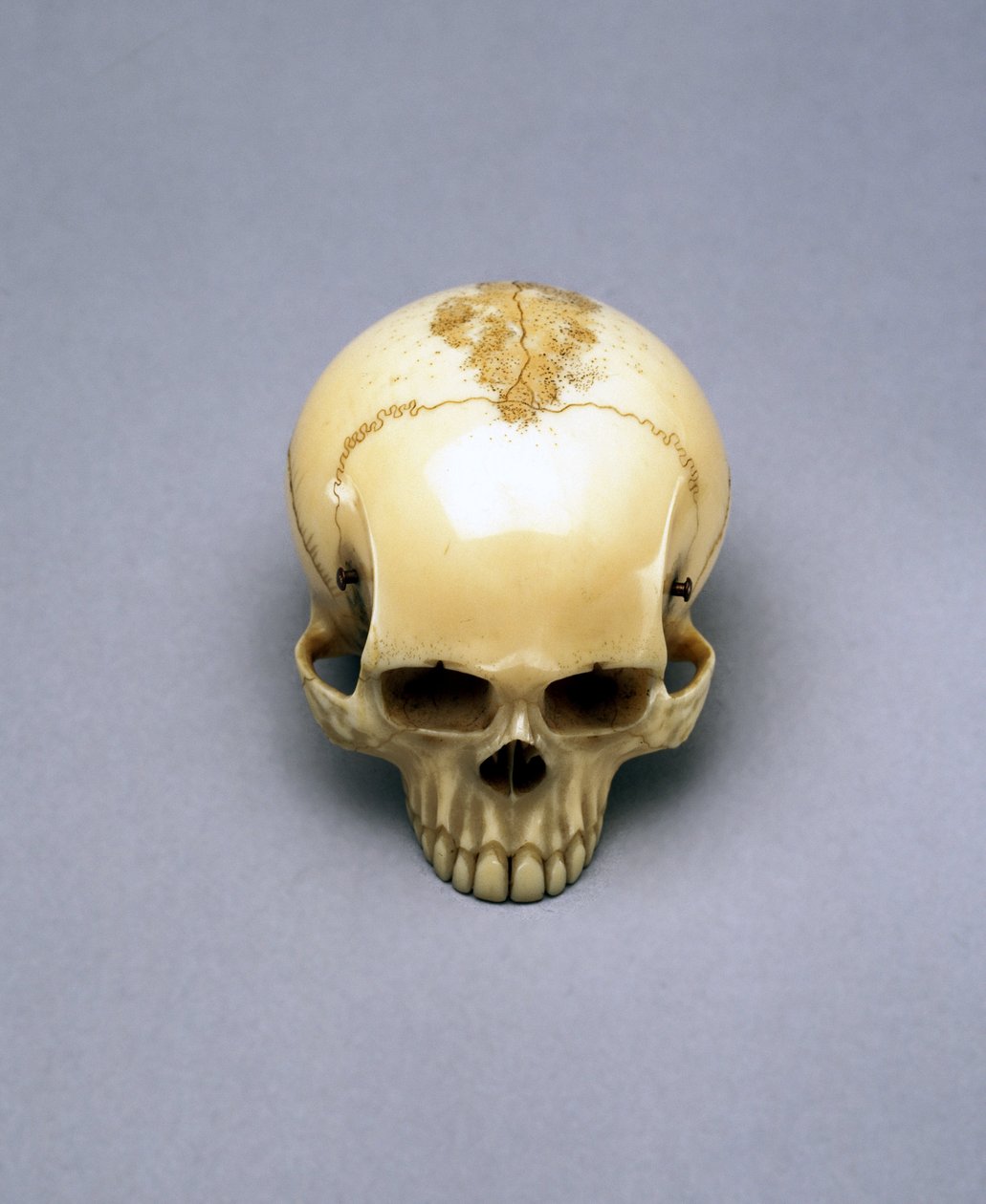 Modèle de crâne, probablement un netsuke, japonais - Unbekannt Unbekannt