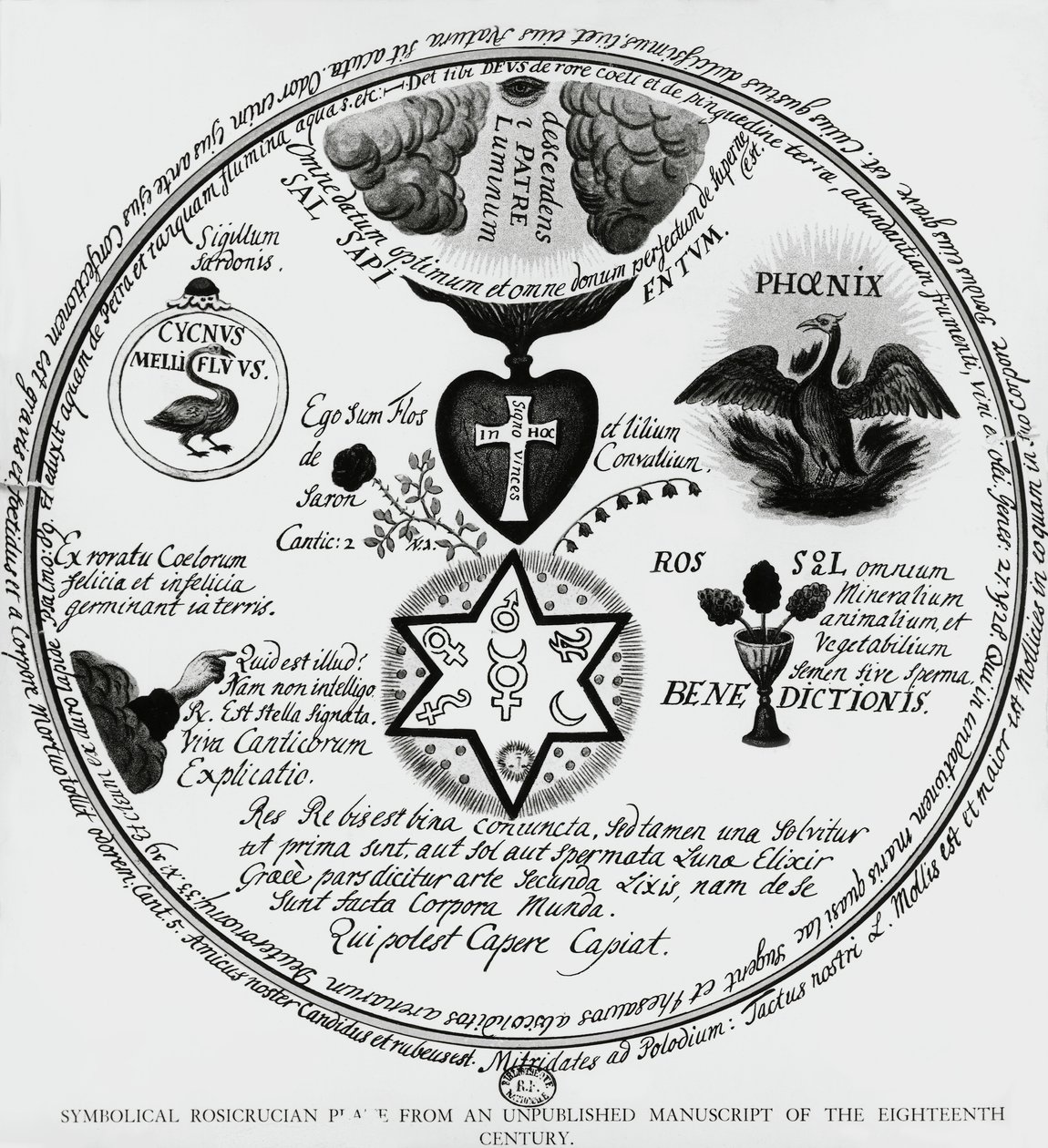 Symboles des Rose-Croix, dessin d