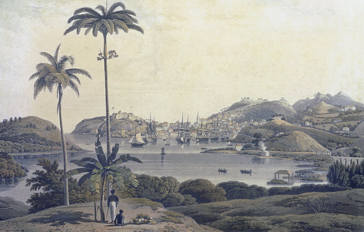 Vue de la ville de Saint-Georges sur l