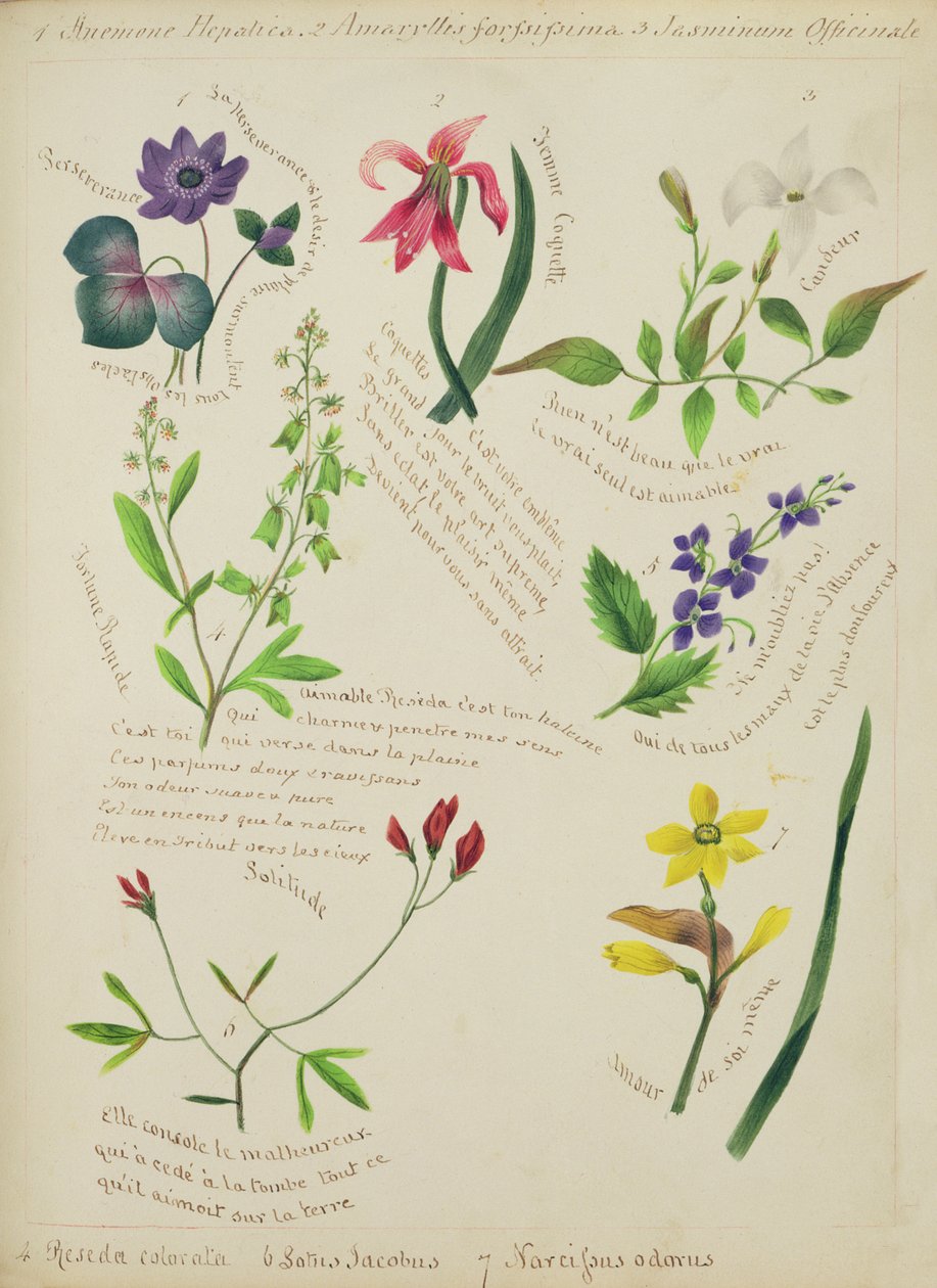 Fleurs sauvages (page d