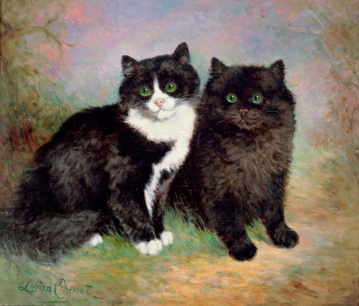 Une paire de chats - Lilian Cheviot