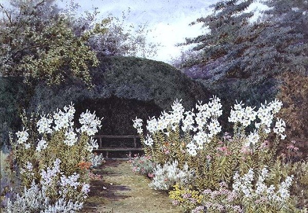 Lys de Pâques dans le Jardin - Lilian Stannard