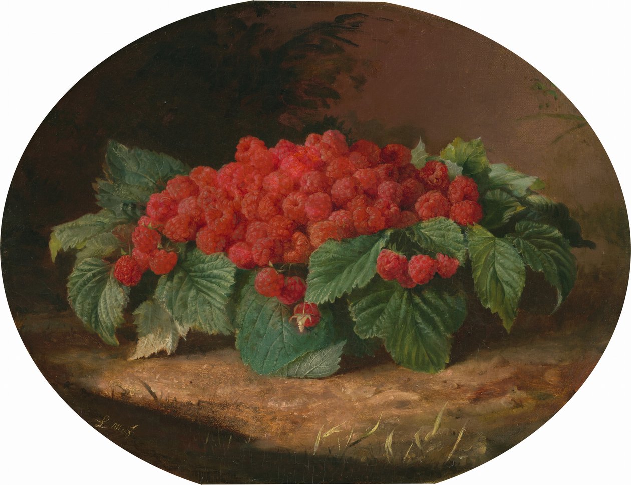 Framboises, vers 1859 - Lilly Martin Spencer