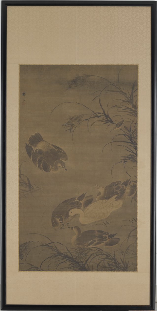 Oies nageant - Lin Liang