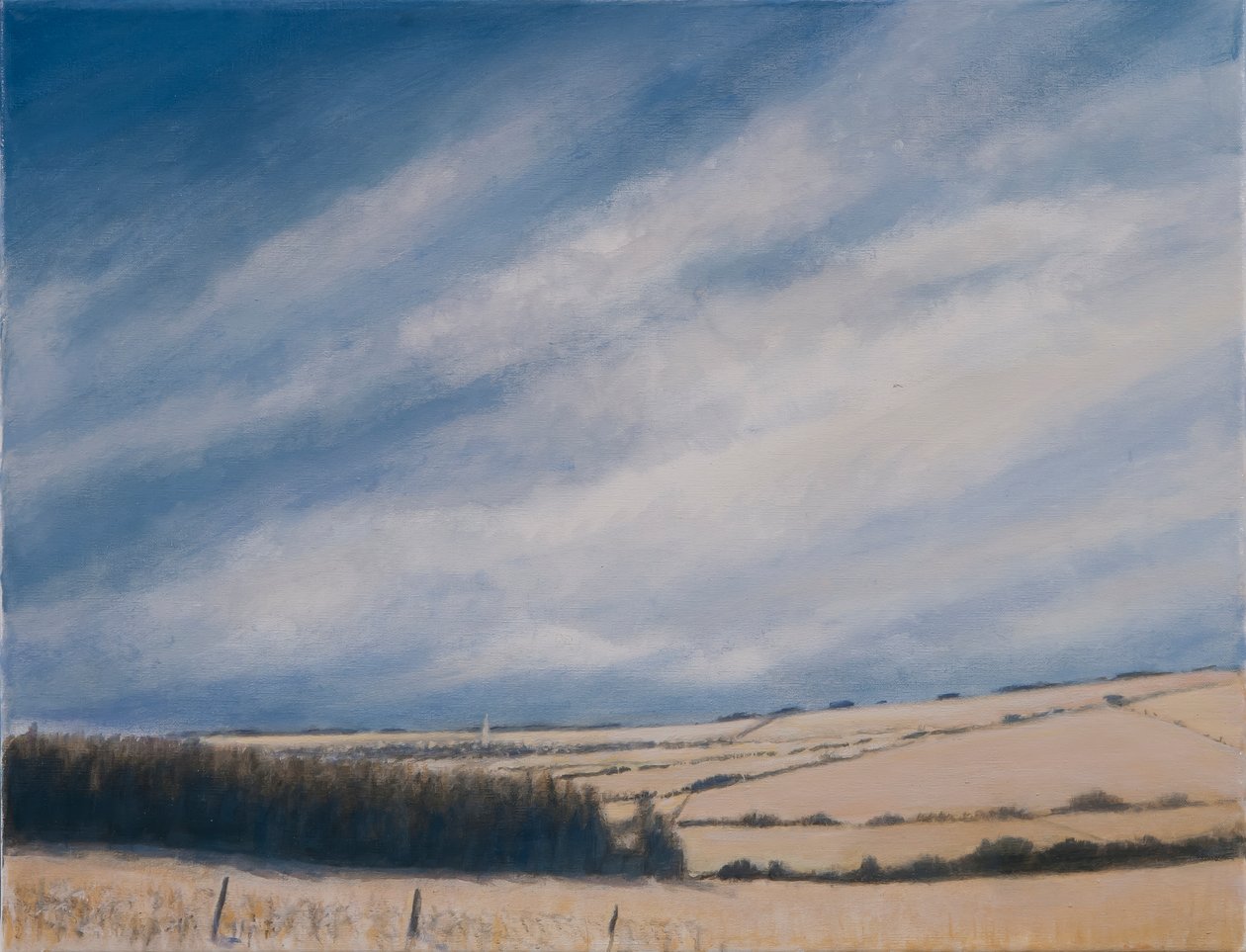 Approchant Burford, 2012 - Lincoln Seligman