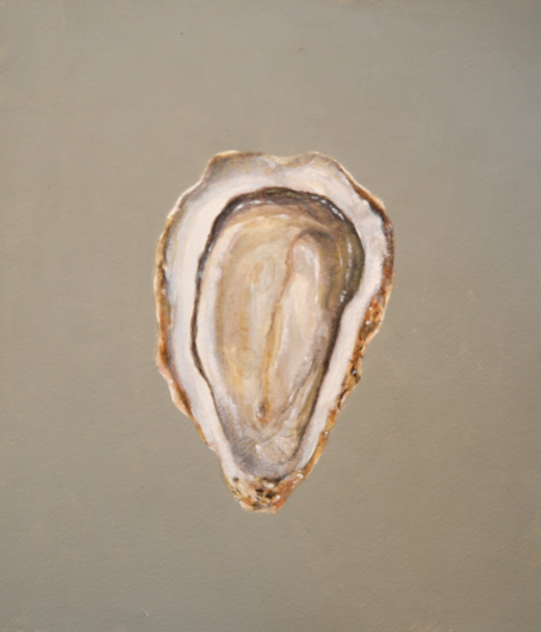 Huître bretonne 1 - Lincoln Seligman