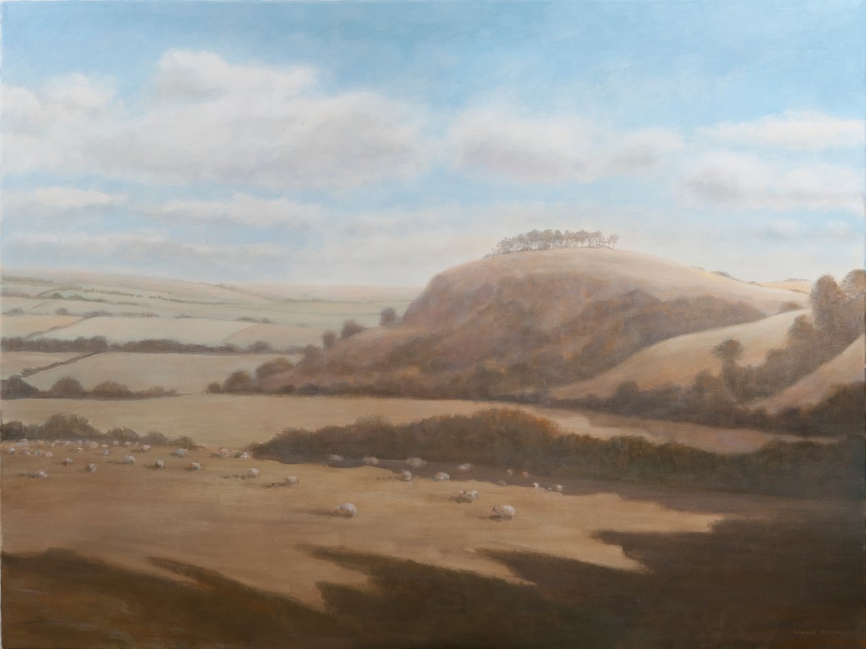 Paysage du Gloucestershire, 2012 - Lincoln Seligman