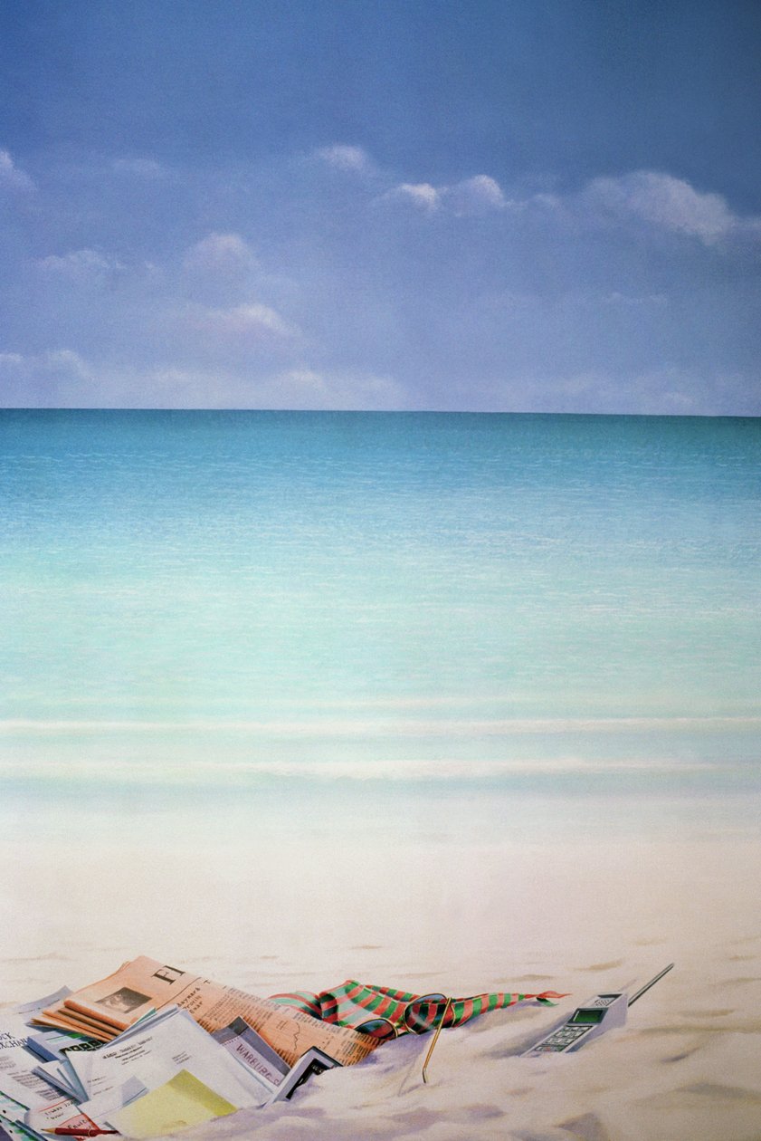 Soleil, sable et argent I - Lincoln Seligman