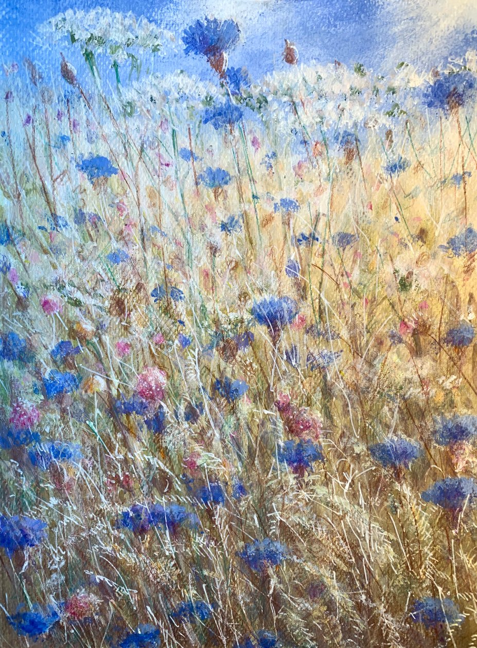 Bleuets 2 - Lincoln Seligman