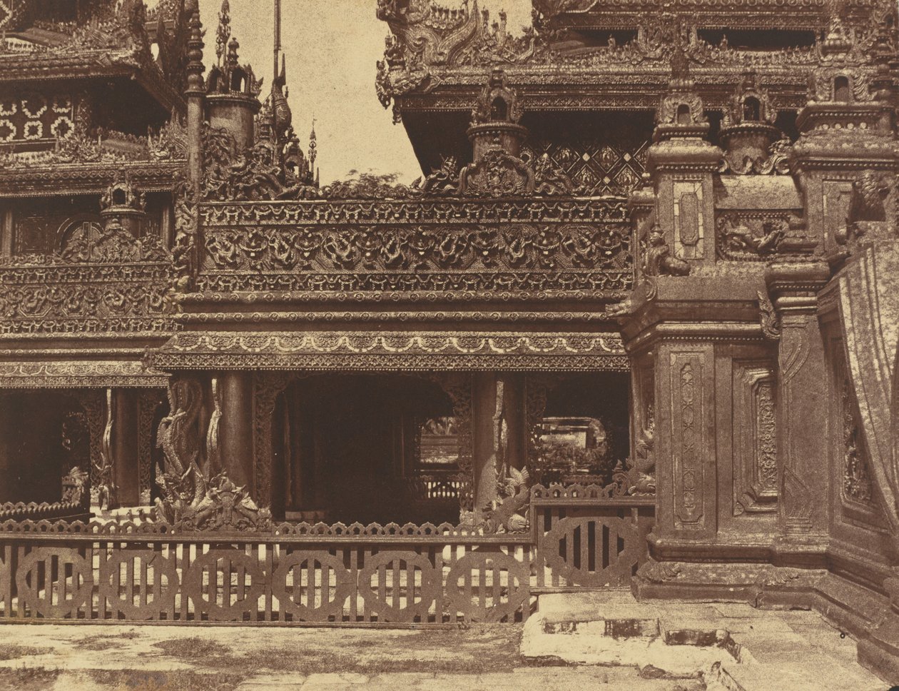 Amerapoora : Une autre partie du balcon de Kyoung n° 86, du 1er septembre au 21 octobre - Linnaeus Tripe
