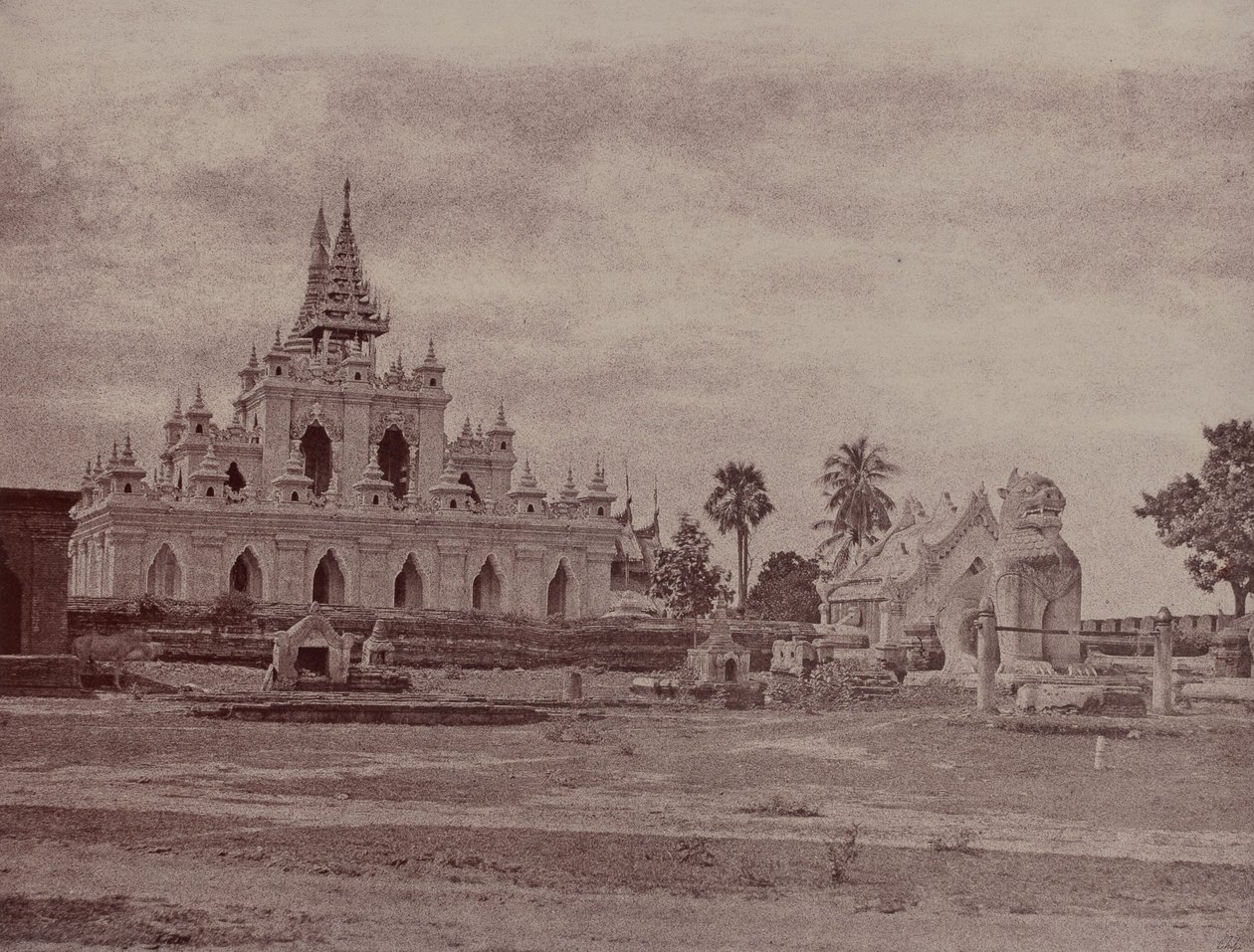 Amerapoora : Pagode Sindu Shwe koo - Linnaeus Tripe