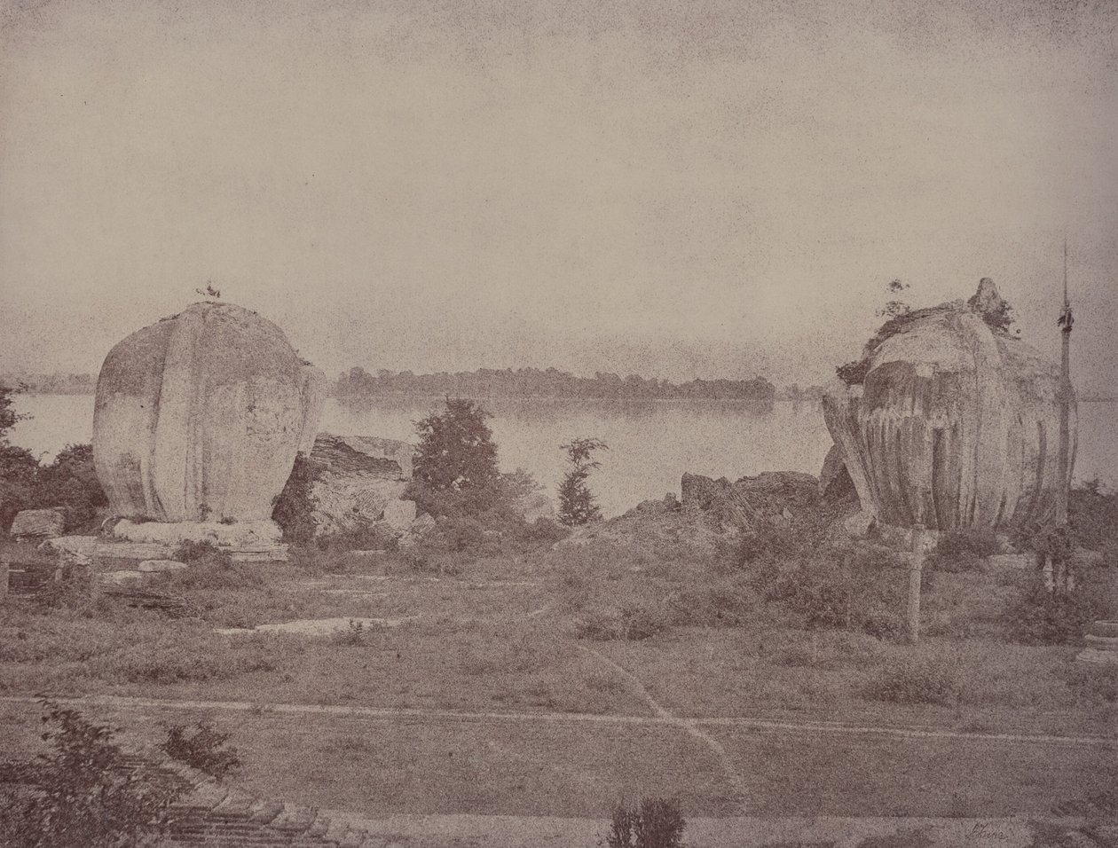 Mengoon : Griffons en ruine - Linnaeus Tripe