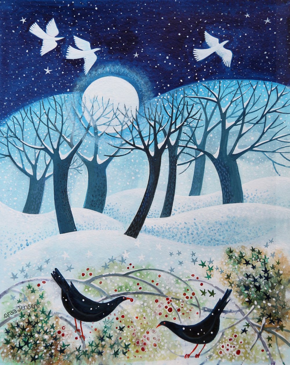 Oiseaux d