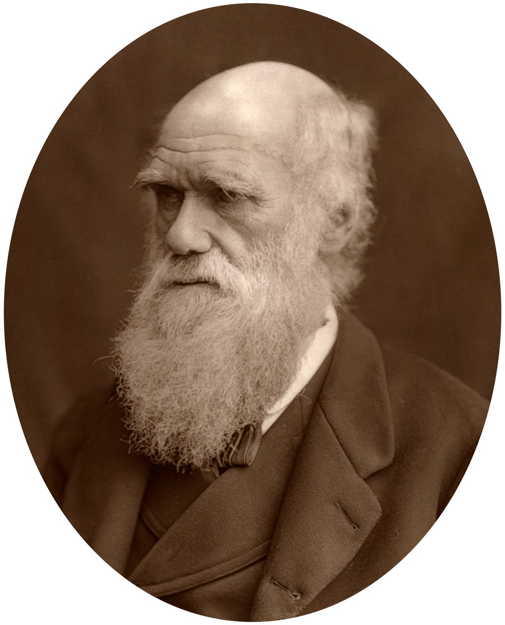 Charles Darwin - Lock and Whitfield