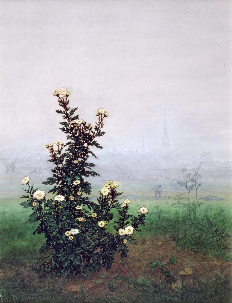 Chrysanthème en fleur avec ouvrier, 1863 - Léon Bonvin