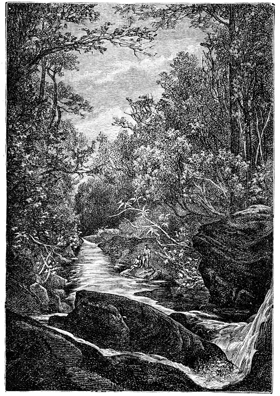 Ruisseau de montagne avec rochers et cascade au milieu d