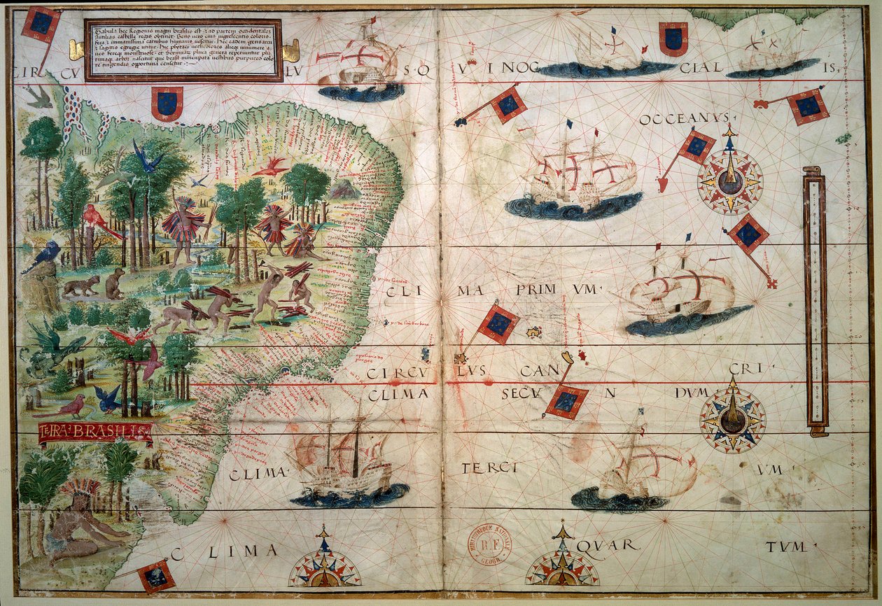 Carte hydrographique du Brésil - Manuscrit enluminé Atlas nautique portugais par le cartographe Loppo Homem 1519 Paris. B.N. - Lopo Homem