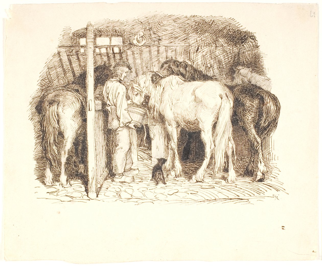 Chevaux dans une étable recevant de l