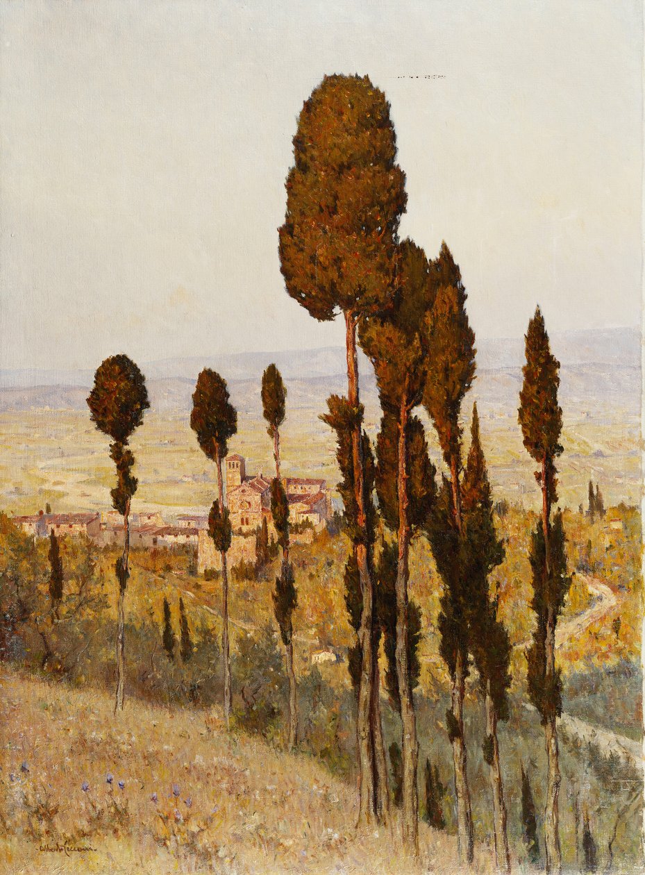 San Francesco, Assise - Lorenzo Cecconi