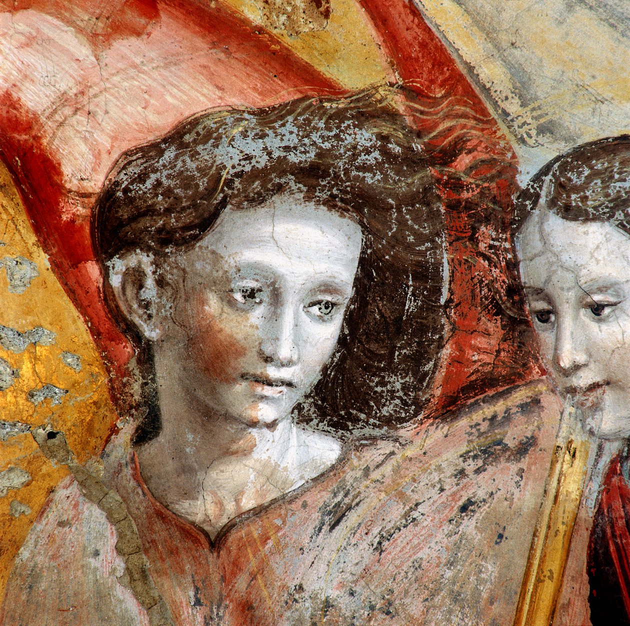 Un ange, détail de la peinture représentant le Couronnement de la Vierge - Lorenzo Torresani