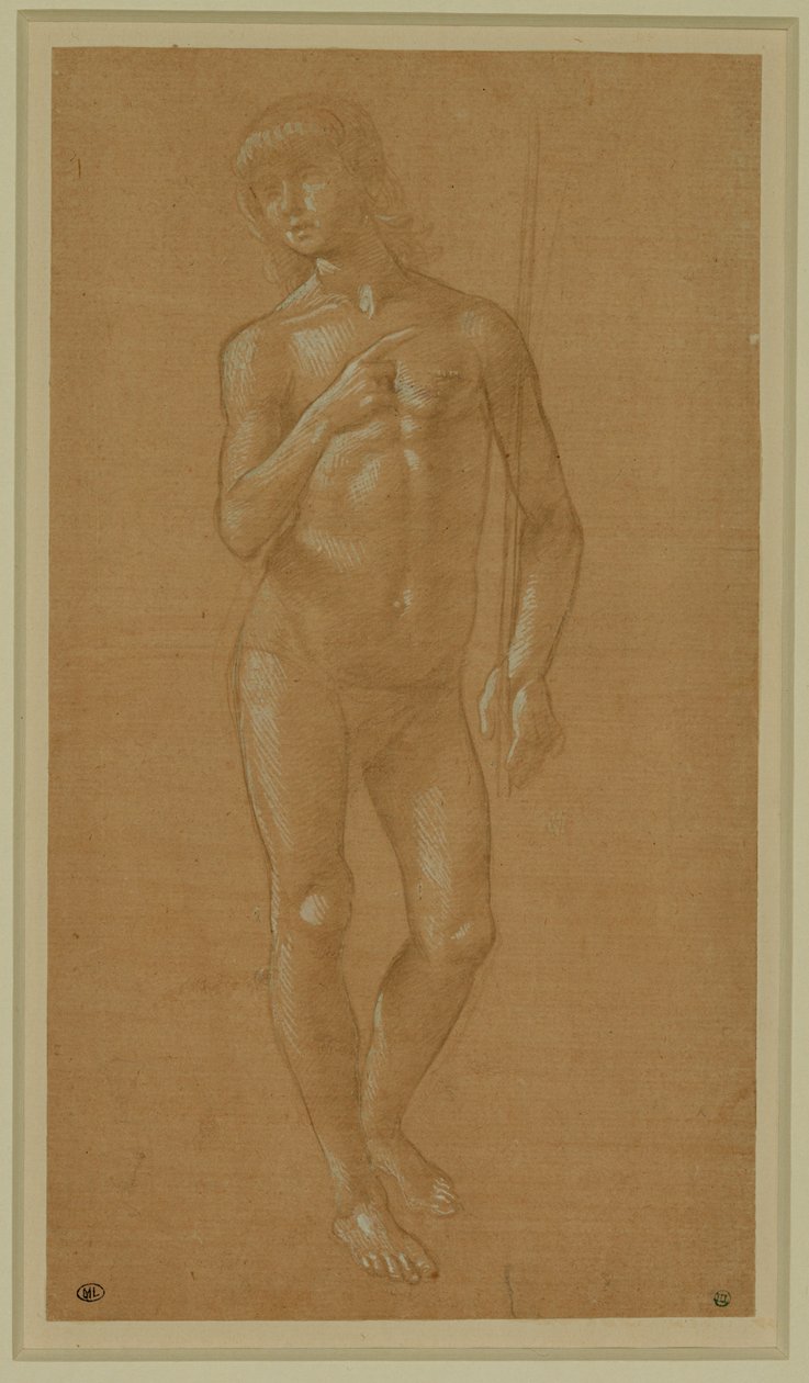 Jeune homme nu, visage plein, tenant un bâton Plume en argent, rehaussée de blanc, papier rose pâle ... - Lorenzo di Credi