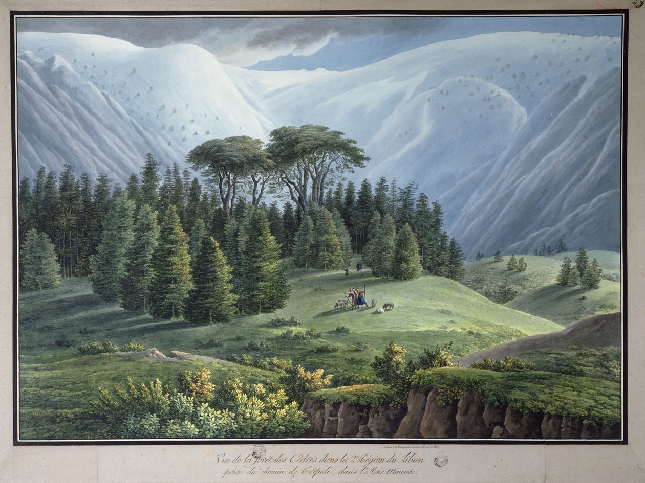Vue des forêts de cèdres du Liban depuis la route de Tripoli, vers 1800 - Louis Francois Cassas