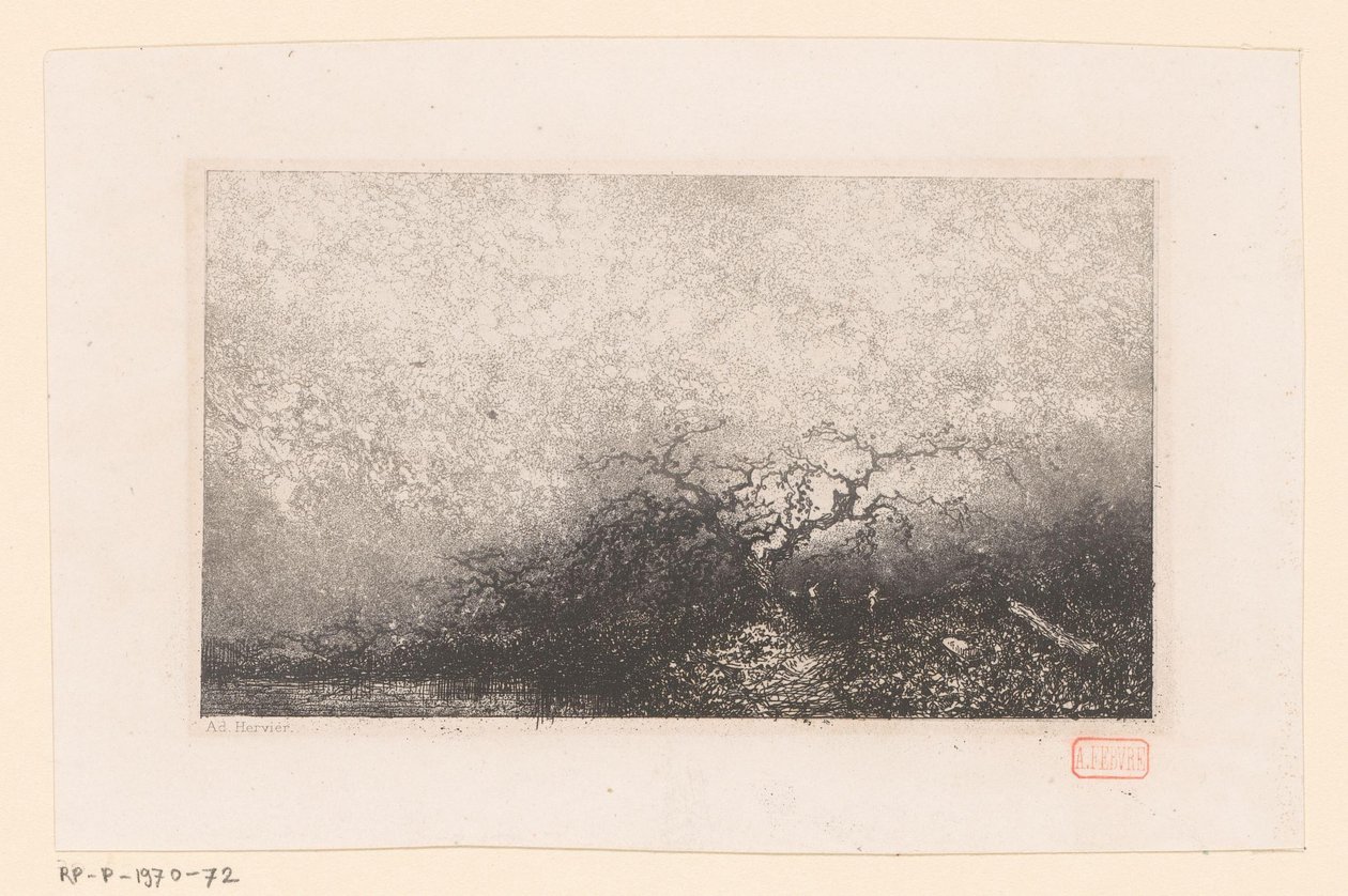 Paysage avec un arbre près d