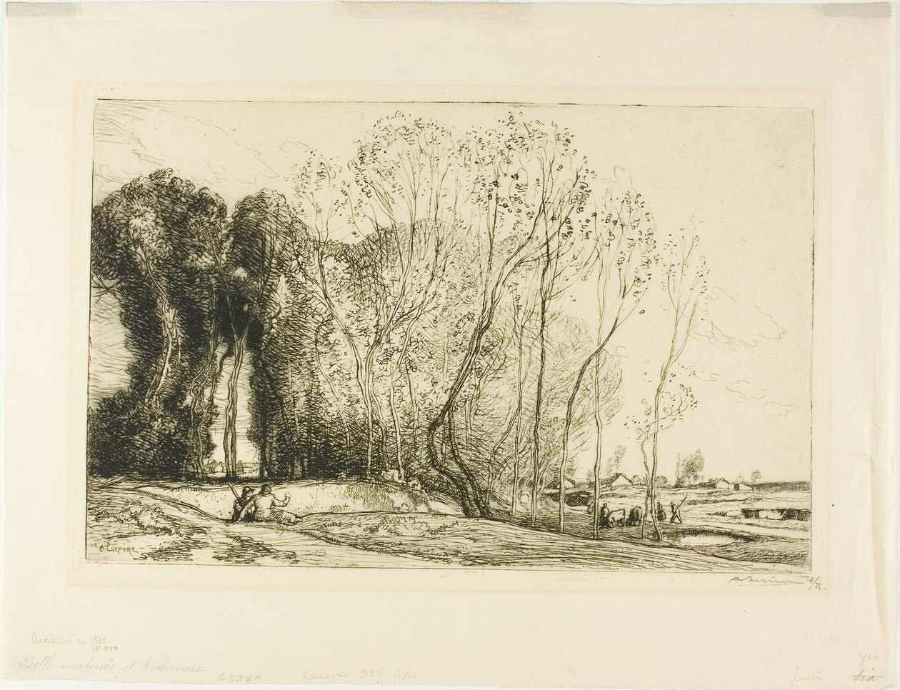 Belle matinée d