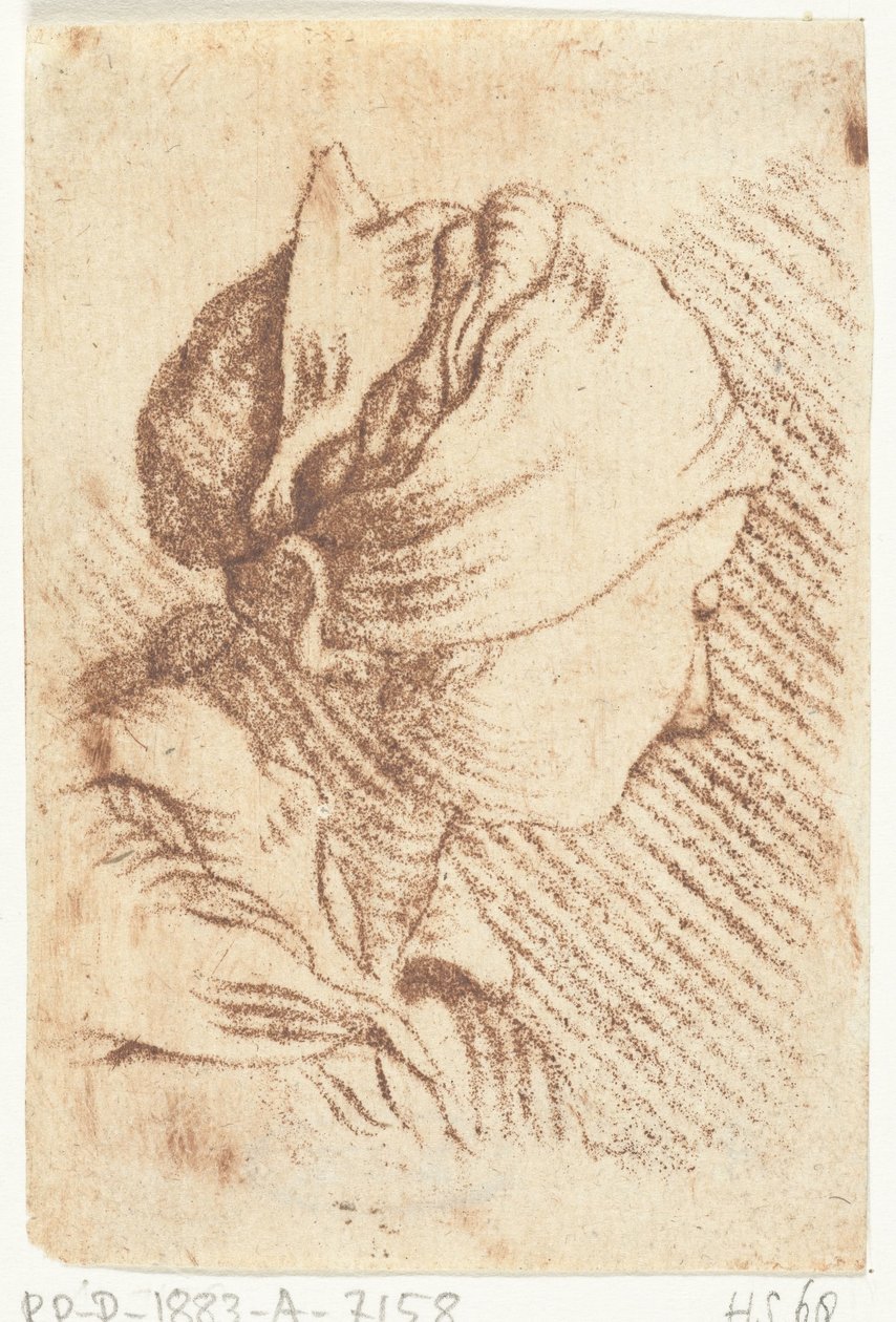 Feuille d
