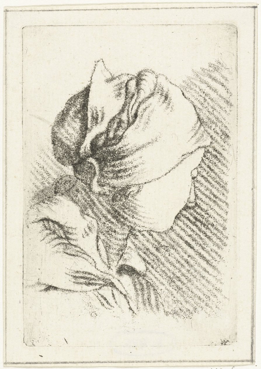 Feuille d