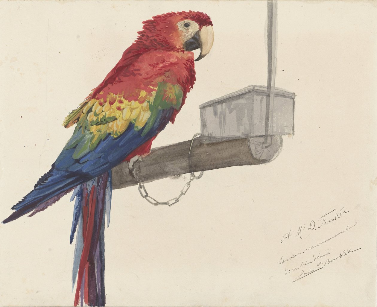 Perroquet - Louis Charles Bombled
