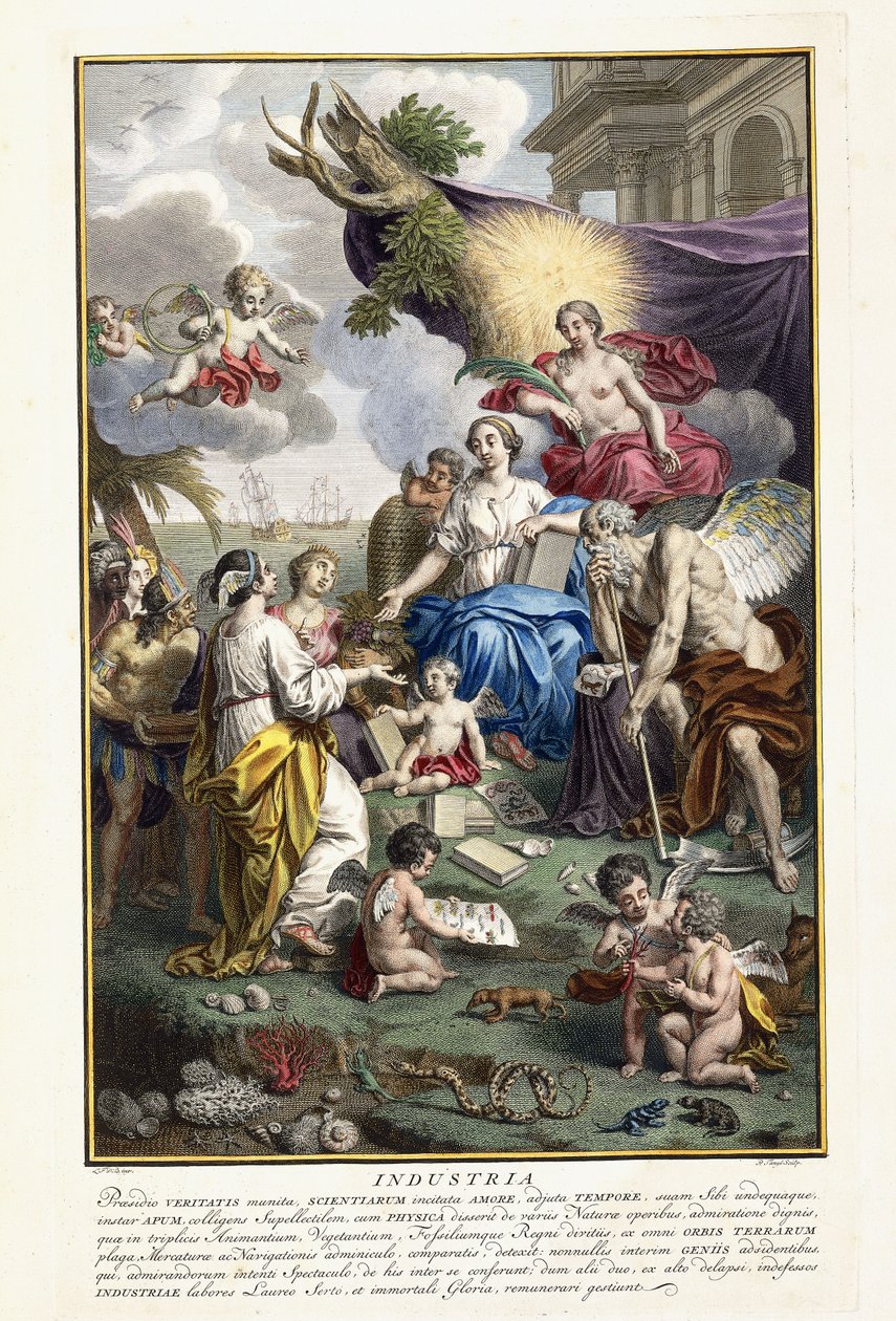 Industrie, frontispice de "Locupletissimi Rerum Naturalium Thesauri Accurata Descriptio", 1734-1765 - Louis Fabricius Dubourg