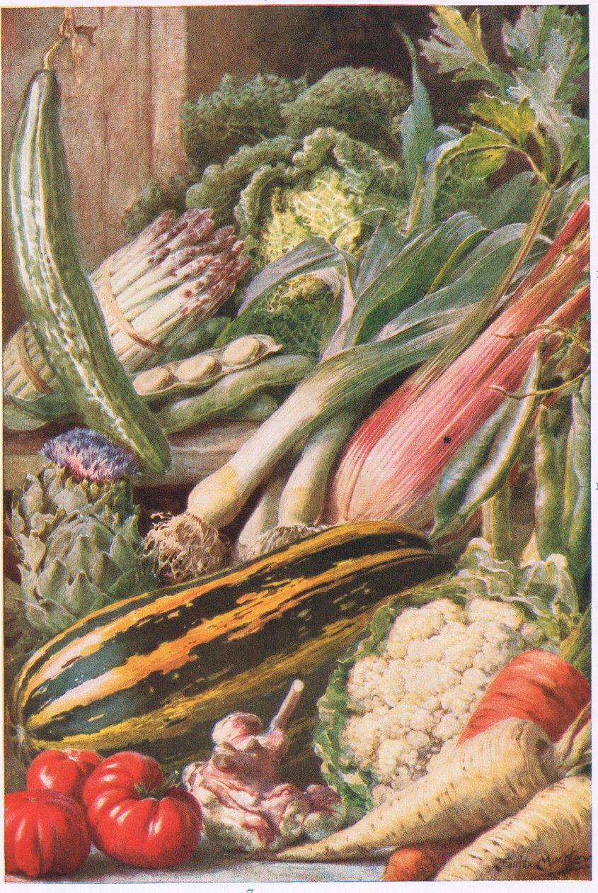 Légumes de Jardin, illustration de 