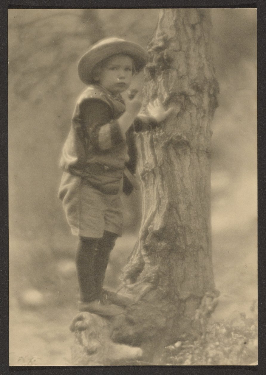 [Enfant debout sur une racine d