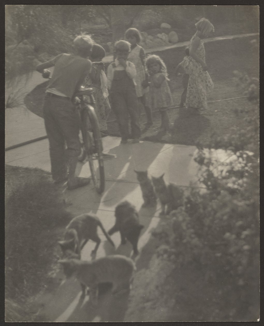 [Les enfants et les chats] - Louis Fleckenstein