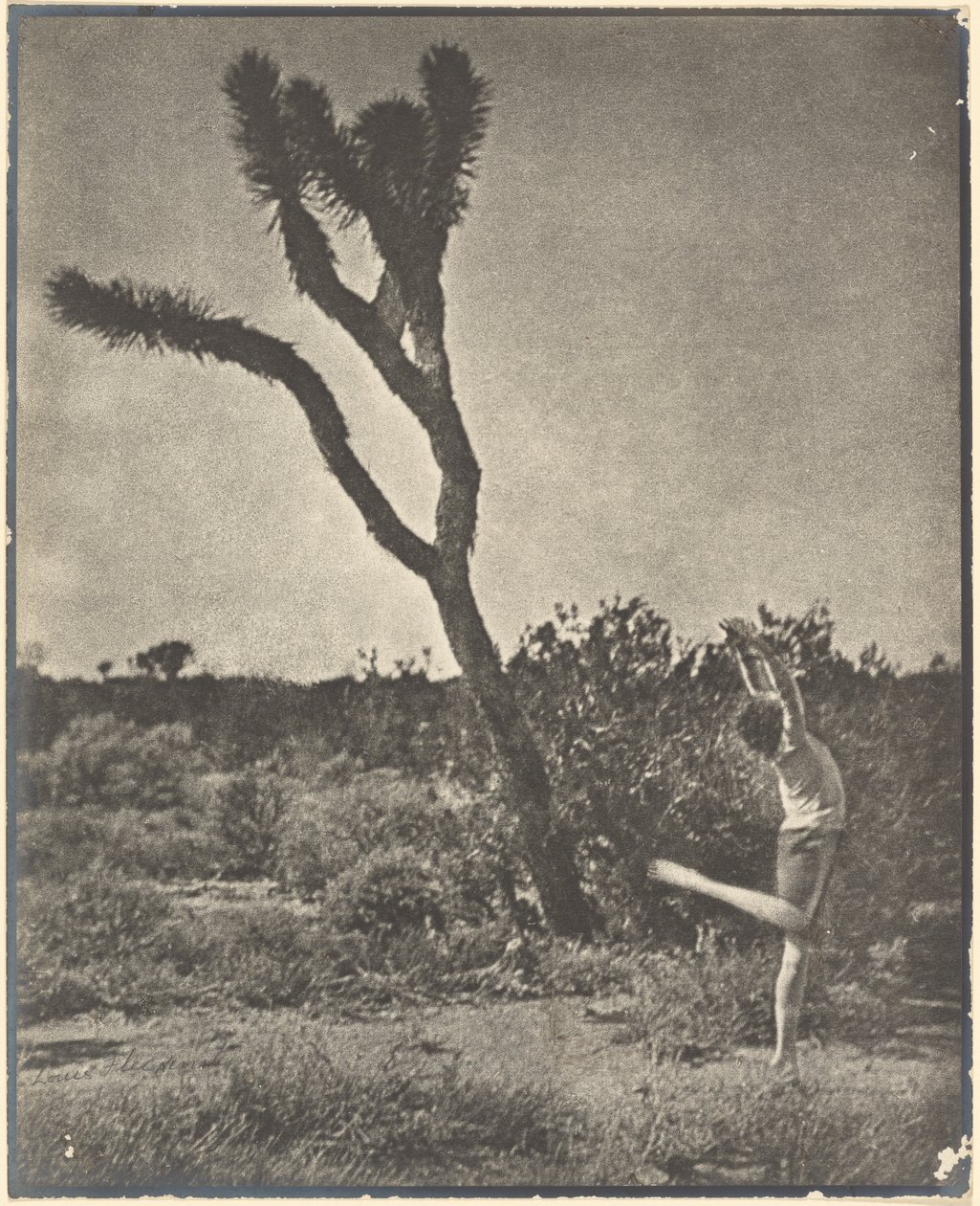 [Danseur à Joshua Tree] - Louis Fleckenstein