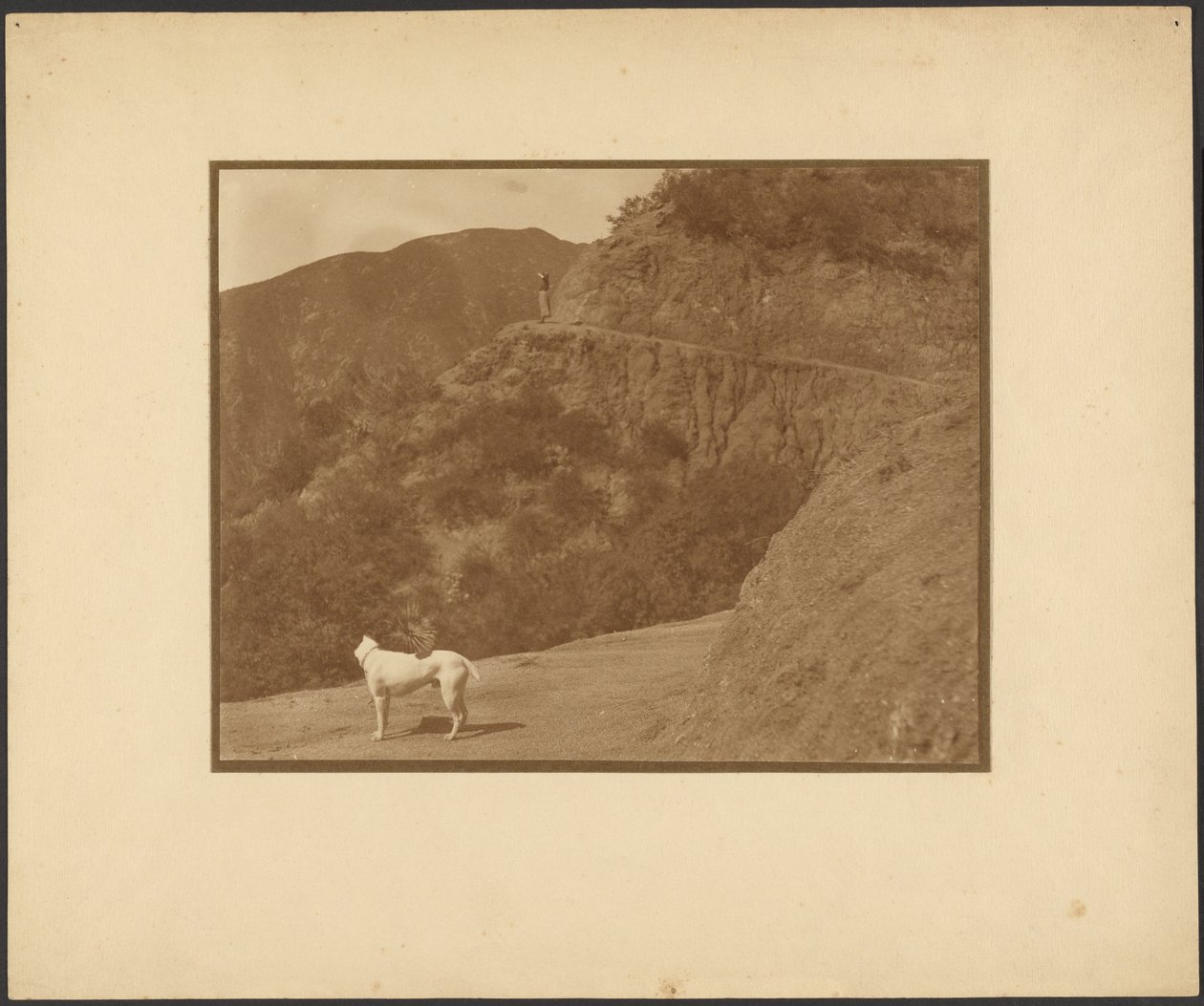 [Une femme et un chien dans un paysage montagneux] - Louis Fleckenstein