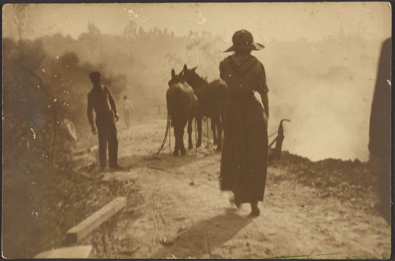 [Scène de ferme avec une femme marchant vers des chevaux] - Louis Fleckenstein