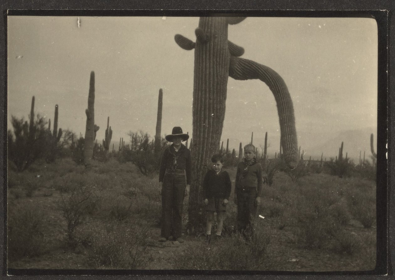 [Figures avec cactus] - Louis Fleckenstein